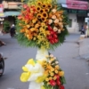 kệ hoa khai trương màu vàng 1951