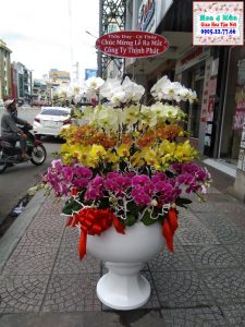 shop lan ho diep long xuyen