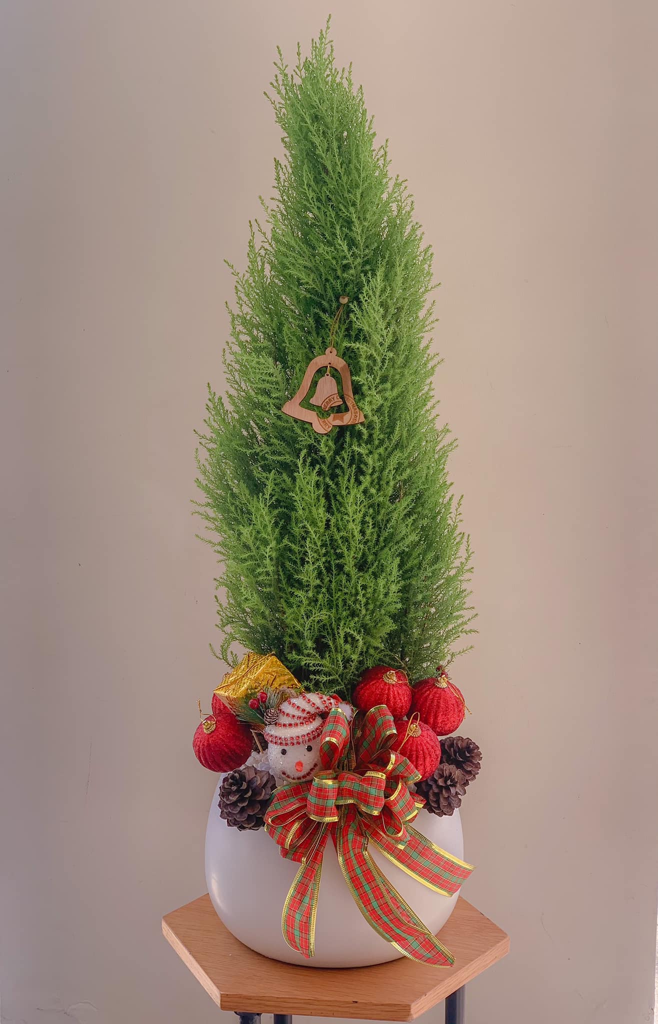 cây thông noel mini tặng giáng sinh