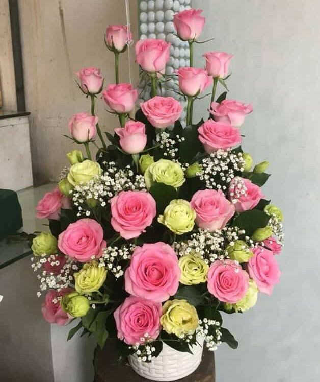Mẫu hoa chúc mừng sinh nhật tại Sơn Tịnh Quảng Ngãi mới nhất