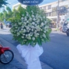 hoa chia buon gia re