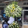 hoa chia buon mau trang