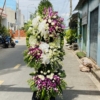hoa chia buon sang trong