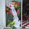 hoa tang le mau tim