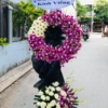 hoa vieng mau tim