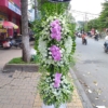 ke hoa chia buon mau trang
