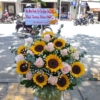 gio hoa chuc mung khai truong