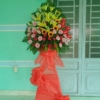 ke hoa chuc mung 1 tang