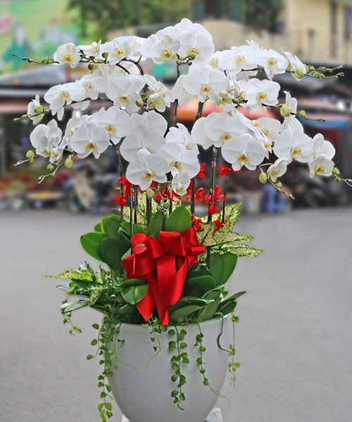 Tất cả các mẫu hoa tươi tại tiệm Hoa 4 Mùa đều được thiết kế với kiểu dáng phù hợp yêu cầu khách hàng