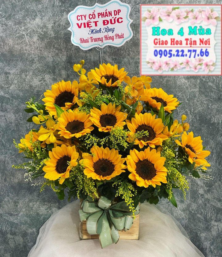 Mẫu hoa khai trương tại shop hoa tươi huyện Phú Xuyên, Hà Nội