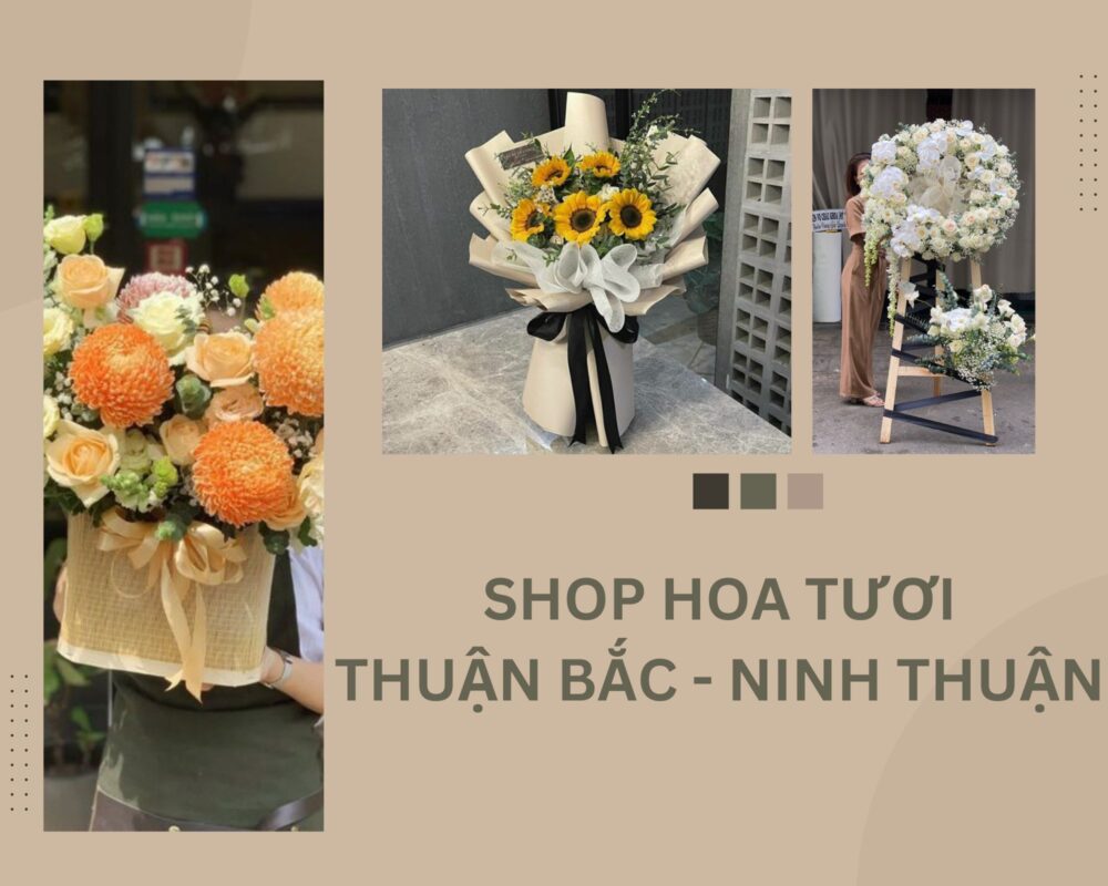 Shop Hoa Tươi Thuận Bắc, Ninh Thuận – Giao Hoa Tận Nơi Ninh Thuận