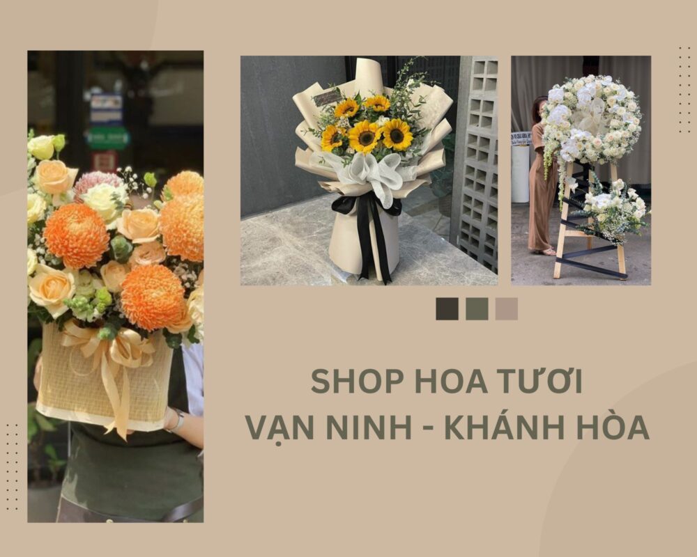 Shop Hoa Tươi Vạn Ninh, Khánh Hòa – Giao Hoa Tận Nơi Khánh Hòa