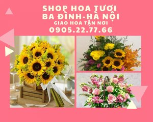 Liên hệ Điện hoa tươi quận Ba Đình, Hà Nội