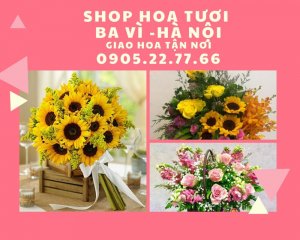 Shop hoa tươi Ba Vì, Hà Nội  – cam kết 100% hoa tươi