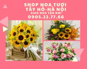 Liên hệ Điện hoa tươi quận Tây Hồ, Hà Nội