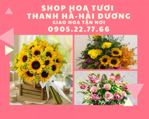 Shop hoa tươi huyện Thanh Hà, Hải Dương – cam kết 100% hoa tươi